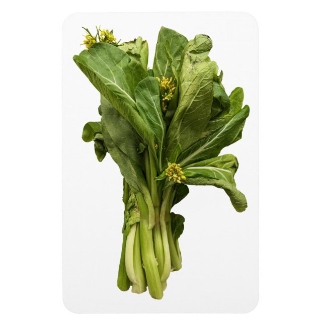 Choy Sum Photo Magnet (Vertikal)