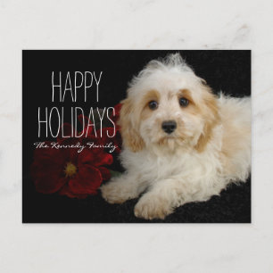 Chrirstmas Cavachon puppy Helg Vykort