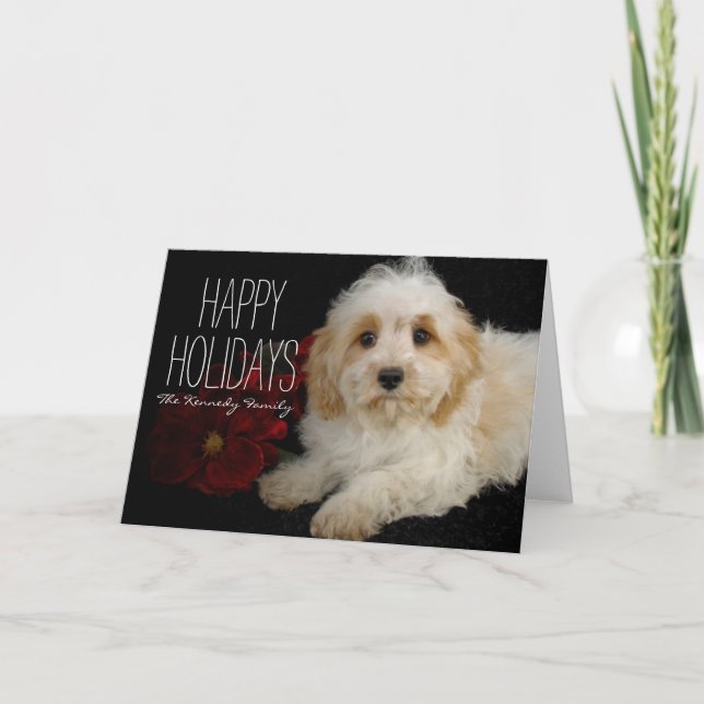 Chrirstmas Cavachon valp Helgkort (Framsida)