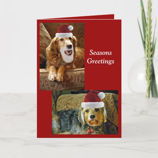 chris kort (Framsida)