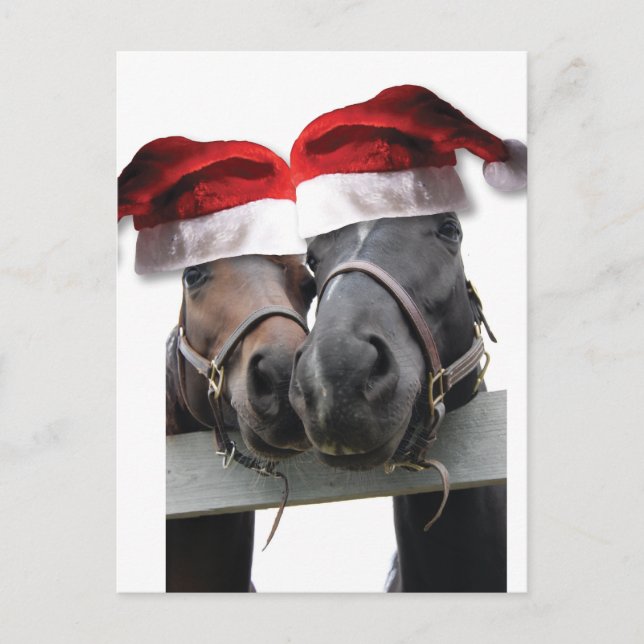 Chrismas hästar med Santa hattar Helg Vykort (Framsida)