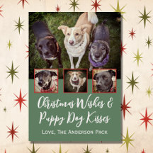 Chrismas Önskemål Multi Photo Hund Collage jul