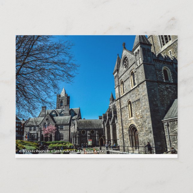 ChristChurch Cathedral, Dublin Ireland Postcard Vykort (Framsida)