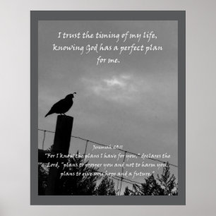 Christian AffirmQuote & motsvarande bibel Poster