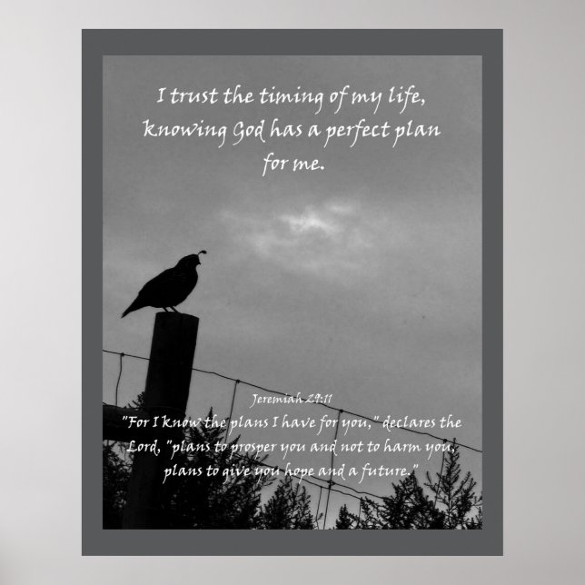 Christian AffirmQuote & motsvarande bibel Poster (Framsidan)
