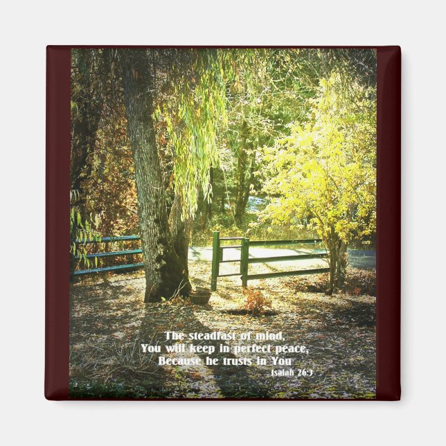 Christian Bible Verse Scripture Creationart Magnet (Framsidan)