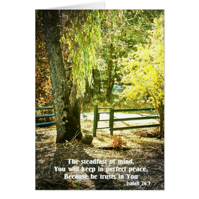 Christian Bible Verse Scripture Creationart OBS Kort (Framsidan)