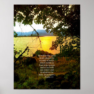 Christian Bible Verse Sjö Landscape Creationart Poster