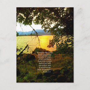 Christian Bible Verse Sjö Landscape Creationart Vykort