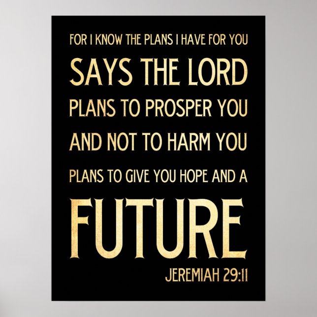 Christian Scriptural Bible Verse - Jeremiah 29:11 Poster (Framsidan)