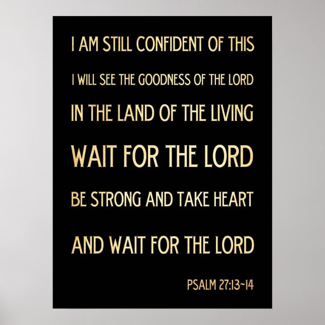Christian Scriptural Bible Verse - Psalm 27:13-14 Poster (Framsidan)