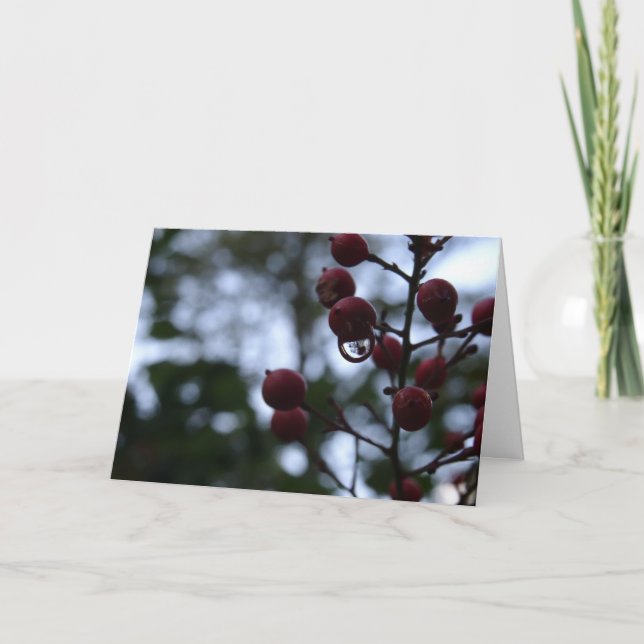 Christian Sympathy Card Psalm Bible Verse Kort (Framsida)