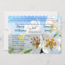 Christian Wedding Investigation Sång of Solomon