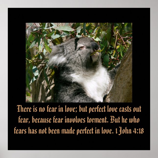 Christianity Scripture 1 John 4:18 Poster (Framsidan)