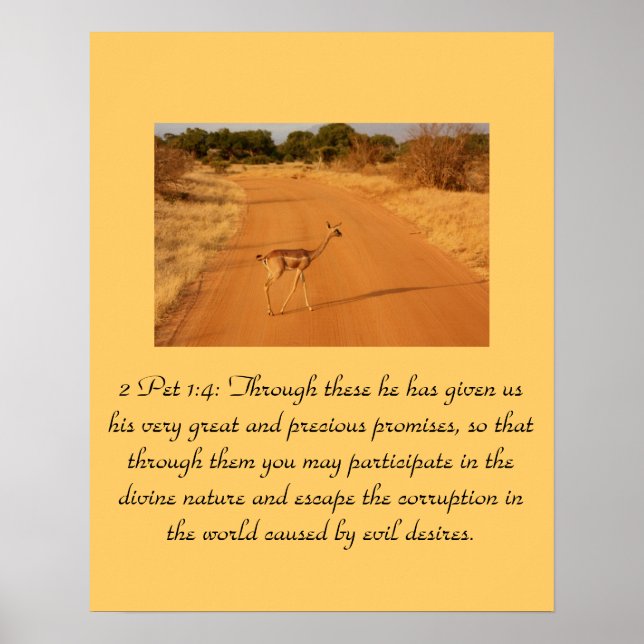 Christianity Scripture 2 Pet 1:4 Poster (Framsidan)