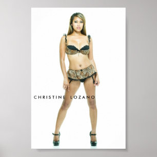 christine-6033 c-H R MIG S T MIG N.O.    L NOLLA Z Poster