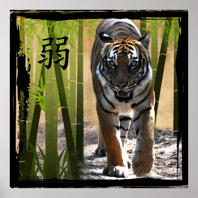 Christins styrka poster (Framsidan)