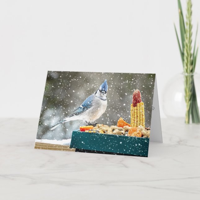 Christmas Blue Jay Christmas Card Helgkort (Framsida)