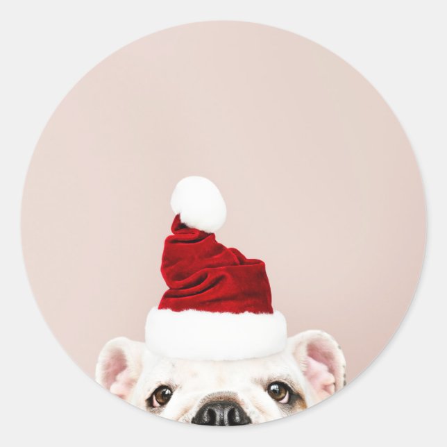 CHRISTMAS BULLDOG STICKER RUNT KLISTERMÄRKE (Framsida)