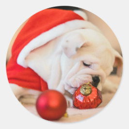 CHRISTMAS BULLDOG STICKERS RUNT KLISTERMÄRKE