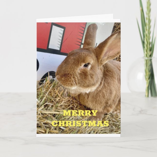 **CHRISTMAS BUNNY** SAY **GOD JUL** FÖR DIG HELGKORT (Framsida)