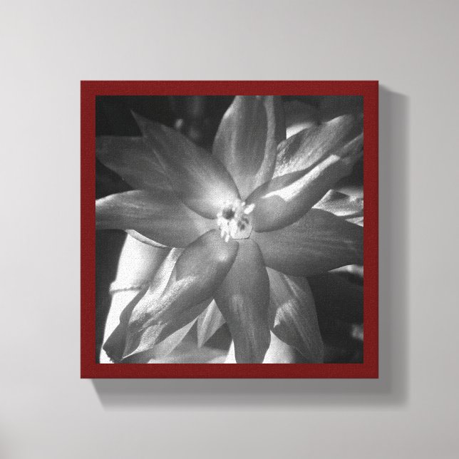 christmas cactus canvastryck (Framsida)