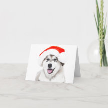 CHRISTMAS CARD HUSKY PUPPY MED SANTA HAT