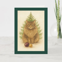 Christmas Card – Maine Coon Cat Helgkort