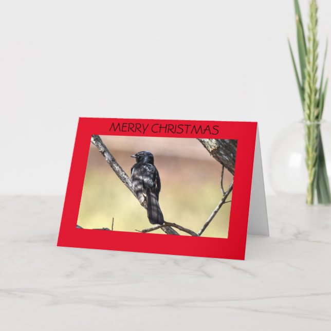 CHRISTMAS CARD WILLIE WAGTAIL AUSTRALIA HELGKORT (Framsida)