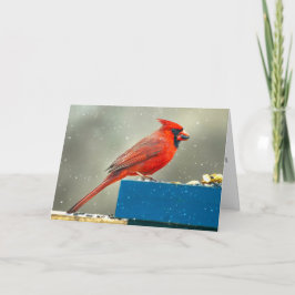 Christmas Cardinal Christmas Card Helgkort