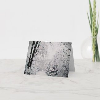 CHRISTMAS CARDS, WINTER SCENE, HELGDAGSKORT HELGKORT