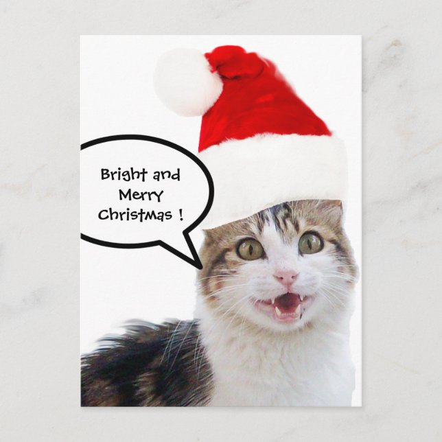 CHRISTMAS CAT MED JULTOMTEN HAT HELG VYKORT (Framsida)