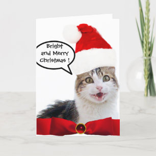 CHRISTMAS CAT MED JULTOMTEN HAT OCH RÖD RIBBON HELGKORT
