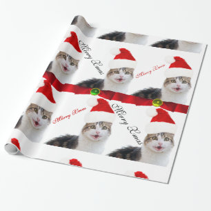 CHRISTMAS CAT MED JULTOMTEN HAT OCH RÖD ROSETT BAN PRESENTPAPPER
