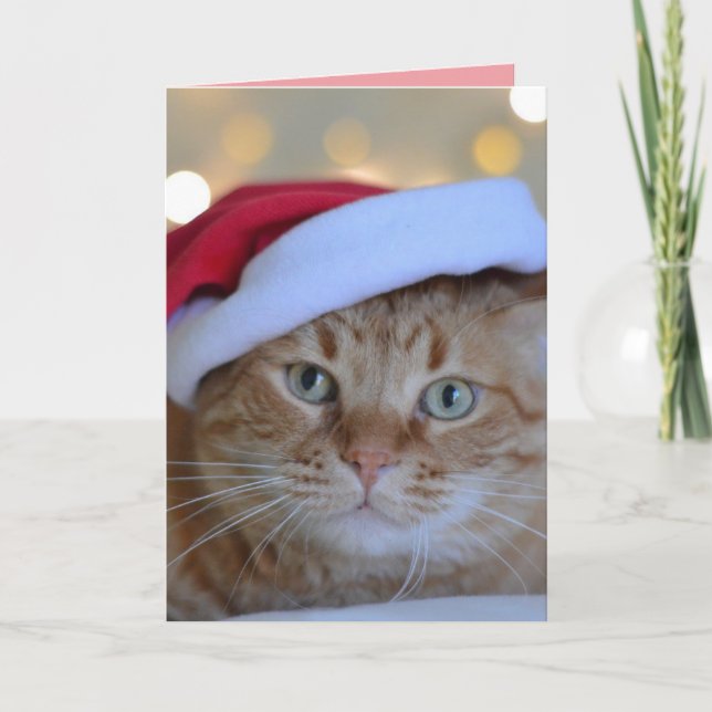 CHRISTMAS CUTE GINGER CAT GREETING CARD TACK KORT (Framsida)