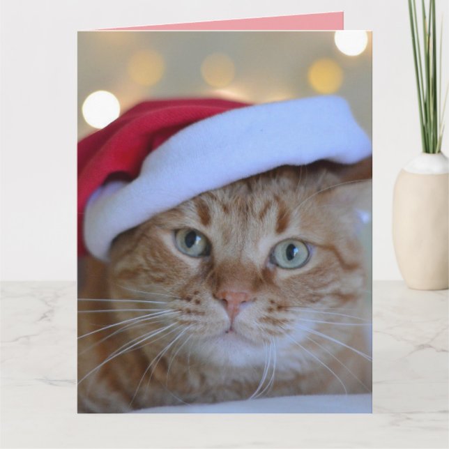 CHRISTMAS CUTE GINGER CAT GREETING Card Tack Kort (Framsida)