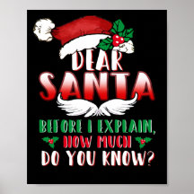 Christmas Dear Santa Before I Explain How Much