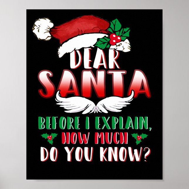 Christmas Dear Santa Before I Explain How Much Poster (Framsidan)