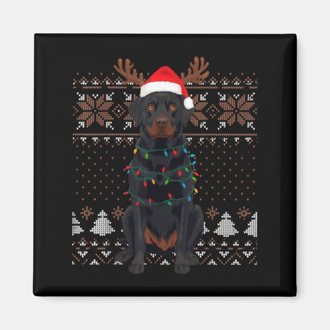 Christmas Dog With Hat And Lights - Funny Holiday  Magnet (Framsidan)