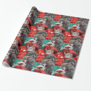 CHRISTMAS FIRANDE of PRINCESS TATUS CAT Presentpapper