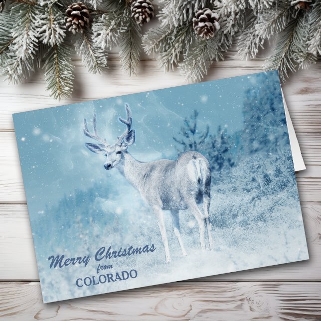 Christmas from Colorado Deer Christmas Card Hälsningskort (Skapare uppladdad)