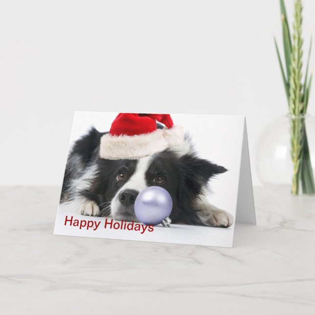 christmas gräns collie helgkort (Framsida)
