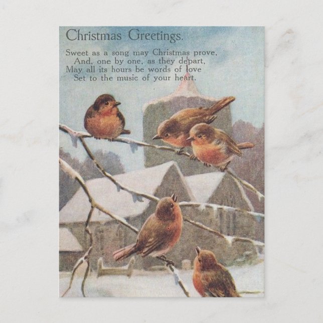 CHRISTMAS GREETINGS  five robins on branches Vykort (Framsida)