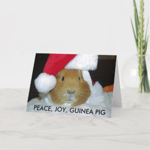 CHRISTMAS GUINEA GRIS-KORT HELGKORT