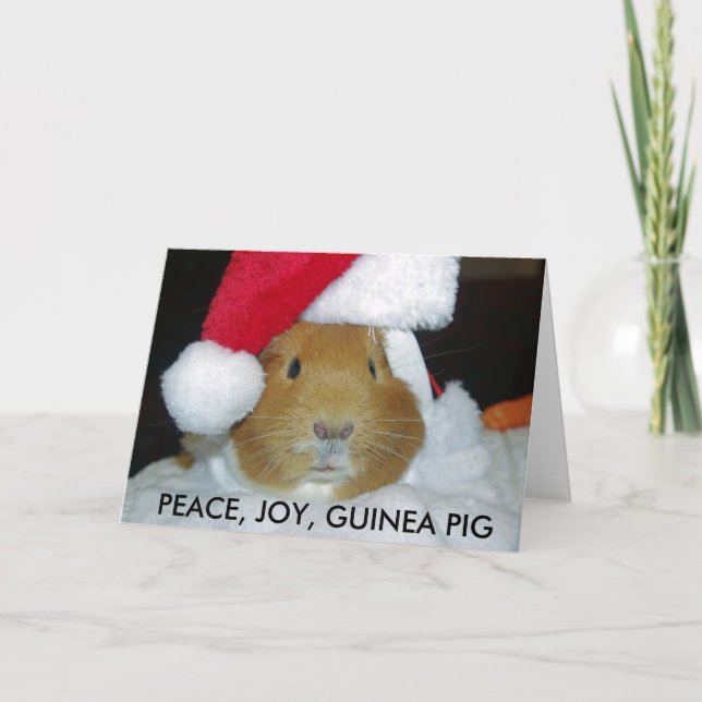 CHRISTMAS GUINEA GRIS-KORT HELGKORT (Framsida)