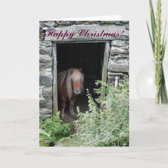 CHRISTMAS HORSES OCH PONIES HELGKORT (Framsida)