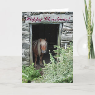 CHRISTMAS HORSES OCH PONIES HELGKORT