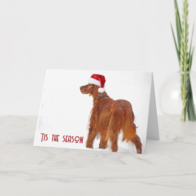 Christmas Irish Setter In Snow Kort (Framsida)