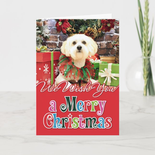 Christmas - Lhasa Apso - Jack Helgkort (Framsida)