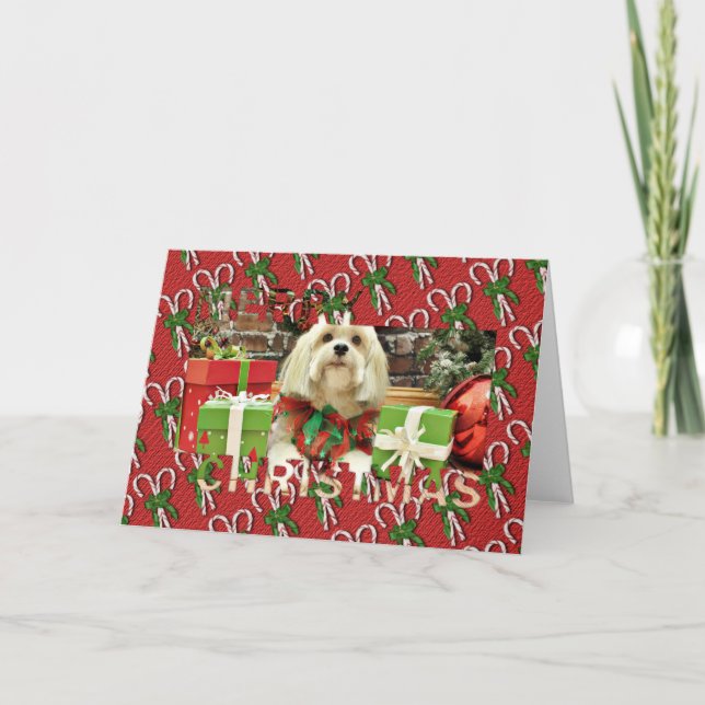 Christmas - Lhasa Apso - Muffie Helgkort (Framsida)